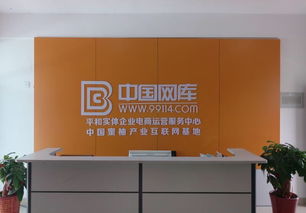 互聯(lián)網(wǎng)架金橋 農(nóng)村電商為農(nóng)產(chǎn)品銷售開(kāi)辟新天地